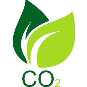 CO2 (ITALY)